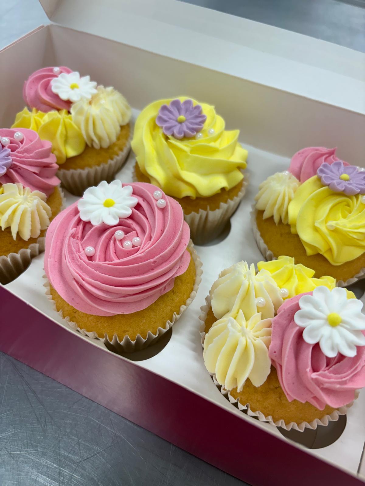 Cupcake Box of 6